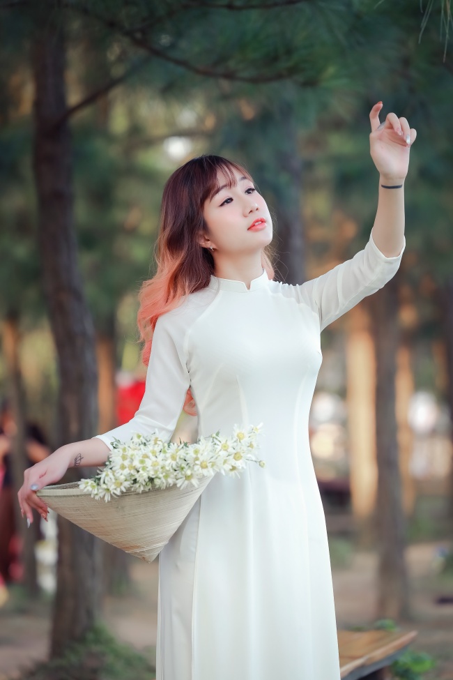 芒果tv直播app banner